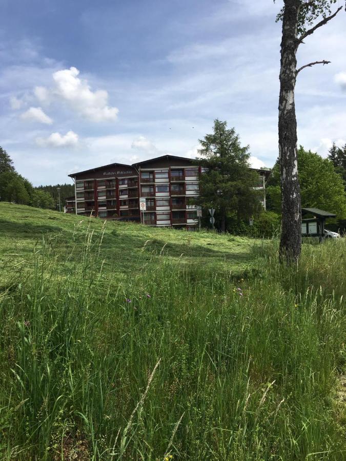 Schwarzwaldglueck Apartment Schluchsee Exterior foto