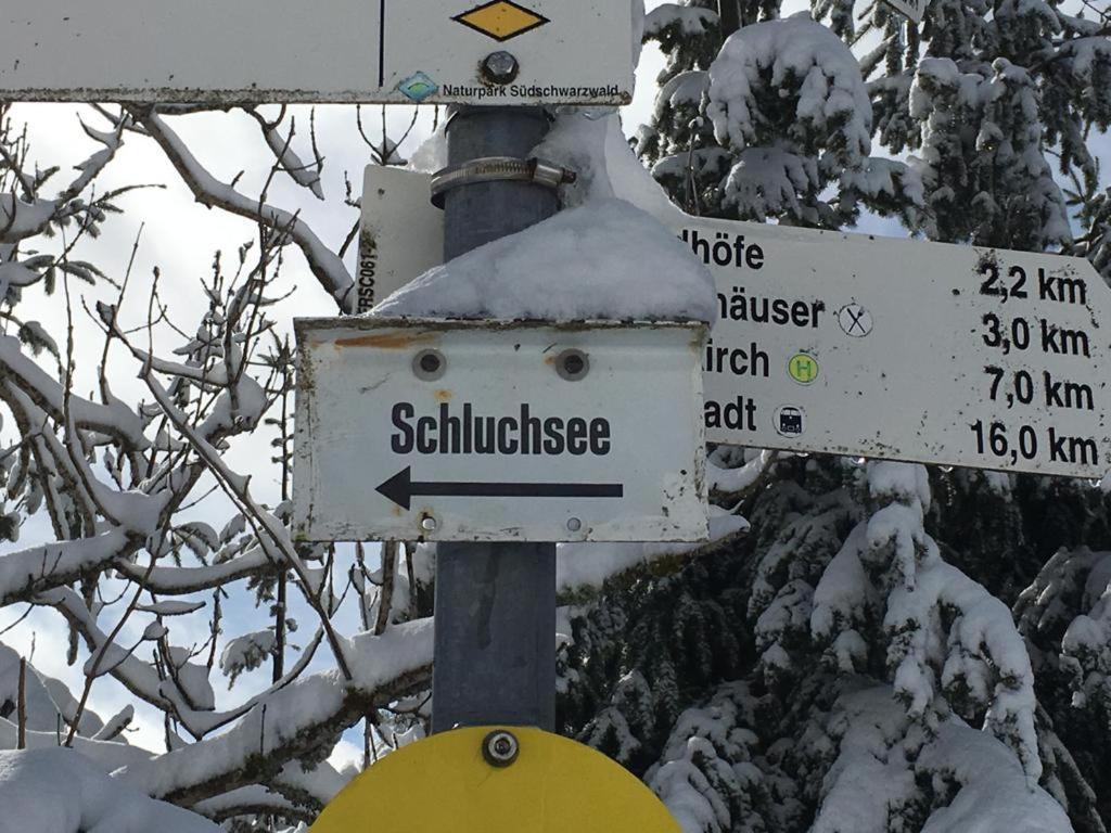 Schwarzwaldglueck Apartment Schluchsee Exterior foto